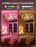 Превью Color Changing Light Bulbs — Smart Light Bulb, DAYBETTER