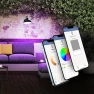 Превью PAR38 Smart Flood Light Bulb — Smart Light Bulb, Feit Electric