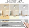 Превью Smart Outdoor Ceiling Fan with Lights and Remote — Smart Fan, cumilo