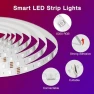 Превью Smart WiFi LED Lights 200ft — LED Strip Lights, DAYBETTER