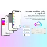 Превью WiFi RGB+CCT LED Controller — LED Strip Lights
