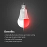 Превью LED Color Changing Light Bulb - A19 — Smart Light Bulb, Feit Electric