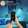 Превью Smart Bright RGB White LED Bulb — Smart Light Bulb, Energizer