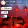 Превью Smart Bright RGB White LED Bulb — Smart Light Bulb, Energizer