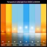 Превью Smart LED Bulb (2-Pack) - White and Color Ambiance — Smart Light Bulb, Philips