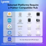 Превью Matter Smart Light Switch — Smart Switch, LYSOME