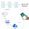 Превью Smart Light Switch with Bluetooth (2 Gang Touch Panel) — Smart Switch, Hauza