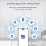 Превью Smart Light Switch with Bluetooth (2 Gang Touch Panel) — Smart Switch, Hauza