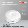 Превью Zigbee Scene Button Switch — Smart Button Pusher, Tuya