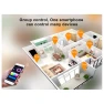 Превью Zigbee 3.0 RGBW Controller — LED Strip Lights, Tuya