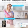 Превью Smart Home Wireless Bridge Gateway Hub — Smart Home Hub, Tuya