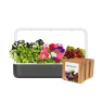 Превью Indoor Garden Kit with Flower, Herb, and Vegetable Plant Pods — Indoor Garden, Click & Grow