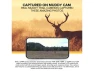 Превью Mitigator 2.0 cellular camera combo — Digital Cameras & Camcorders, Muddy Outdoors