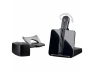 Превью Wireless Headset — Wireless Earbuds, Poly