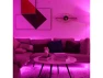 Превью LED RGB Light Strip — LED Strip Lights, Yeelight
