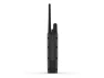 Превью Pro 550 Plus Handheld and Collar Bundle — Dog GPS Tracker, Garmin