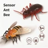 Превью Interactive Ant Toy — Automatic Cat Toy