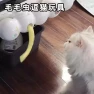 Превью Interactive Caterpillar Cat Teaser Toy — Automatic Cat Toy