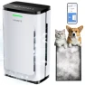 Air Purifier for Large Rooms — Air Purifier, HEAPETS