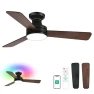 Smart Ceiling Fan with Lights — Smart Fan, Orison