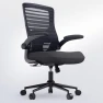 Office Desk Chair for Long Hours & Lower Back Pain Relief — Smart Chairs, QLTPLUS