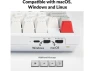 Превью 96% Mechanical Keyboard — Bluetooth Keyboard, Keychron