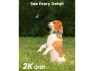 Превью Outdoor Wireless Security Camera — Security Camera, AOSU