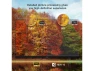 Превью 40-inch LCD TV — Smart TV, FPD