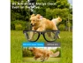 Превью AI Smart Glasses — Smart Glasses, Generic Logic, Inc.