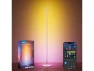 Превью RGBIC Floor Lamp Basic Floor Lamp — Smart Lamps, Govee