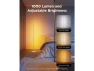 Превью RGBIC Floor Lamp Basic Floor Lamp — Smart Lamps, Govee
