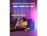 Превью RGBIC Floor Lamp Basic Floor Lamp — Smart Lamps, Govee