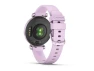Превью Smart Watch — Smart Watch, Garmin