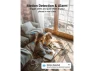 Превью Indoor/Outdoor Security Camera, 2-Pack — Security Camera, TAURKENAM