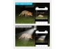 Превью Bulb Security Camera — Security Camera, LaView