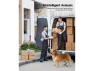 Превью Outdoor Dome Security Camera, 2-Pack — Security Camera, SUNIVISION