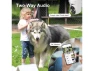 Превью Wireless Outdoor Security Camera — Security Camera, SUNIVISION