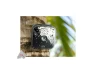 Превью Outdoor Wireless Camera System, 5-Camera System — Security Camera, Blink