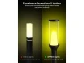 Превью 4-Pack Outdoor Pathway Lights — Smart Outdoor Lighting, APPECK