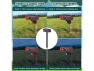 Превью Red Outdoor Alarm Motion Sensor, 4 pcs — Motion Sensor, Generic Logic, Inc.