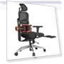 Ergonomic Chair with Lumbar Support, Adjustable Armrest, Headrest, Footrest, 4D Mesh — Desk Chairs, NEWTRAL