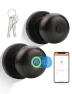 Fingerprint Smart Lock Biometric Door Knob — Smart Lock, Tinewa