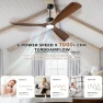 Smart Ceiling Fan with Light — Smart Fan, BOOSANT