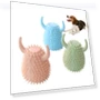 Dog Toothbrush Chewing Toy — Toys