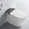 Tankless Elongated Toilet, MIJIC