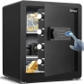 Cub Biometric Safe Box, Kavey