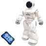 Gesture Sensing Programmable Dancing Robot, Cabhuti