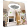 Ceiling Fan with Light and Remote Control — Ceiling Fan Lighting Solutions, Sexy Princess