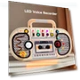 Wooden Sensory Toy with Dictaphone, Music, and LED Lights — Infant & Early Childhood Playthings, Baby cheetah
