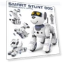 Intelligent Robot Dog — Interactive Figures & Robots, Oran Sky